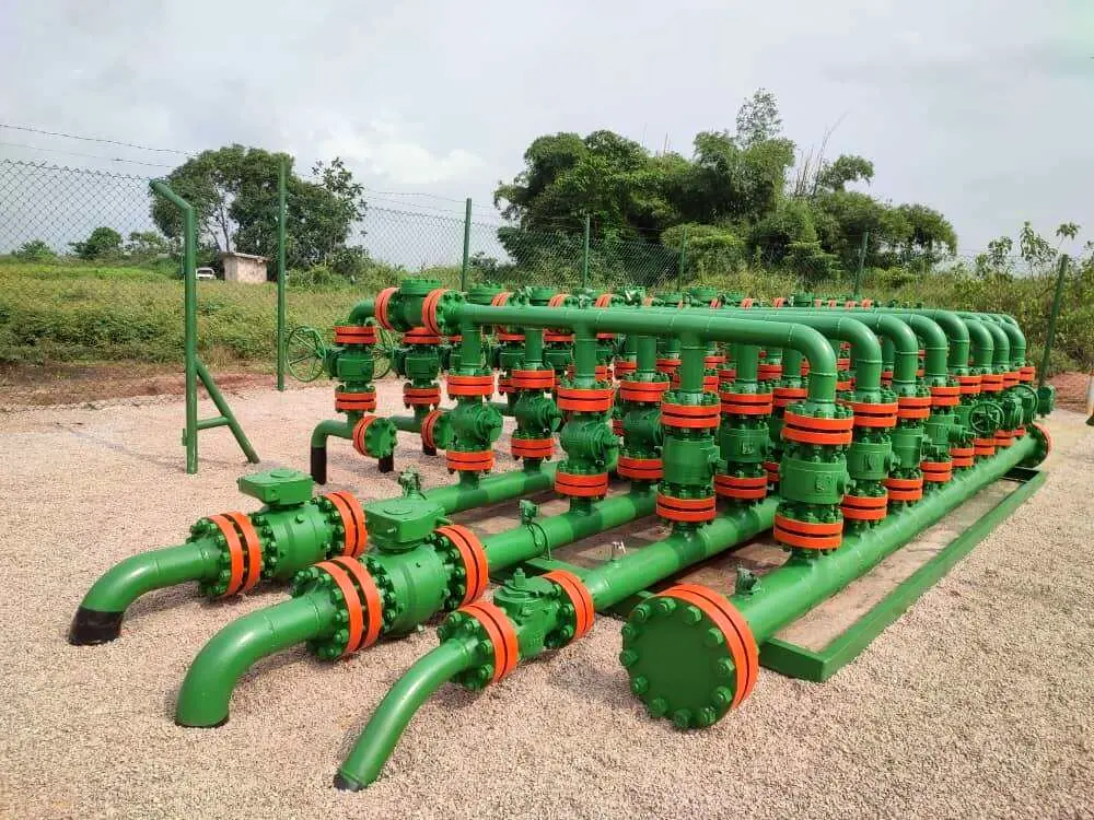 Manifold Maintenance and Modification at Seven Manifolds (OML 98) image two